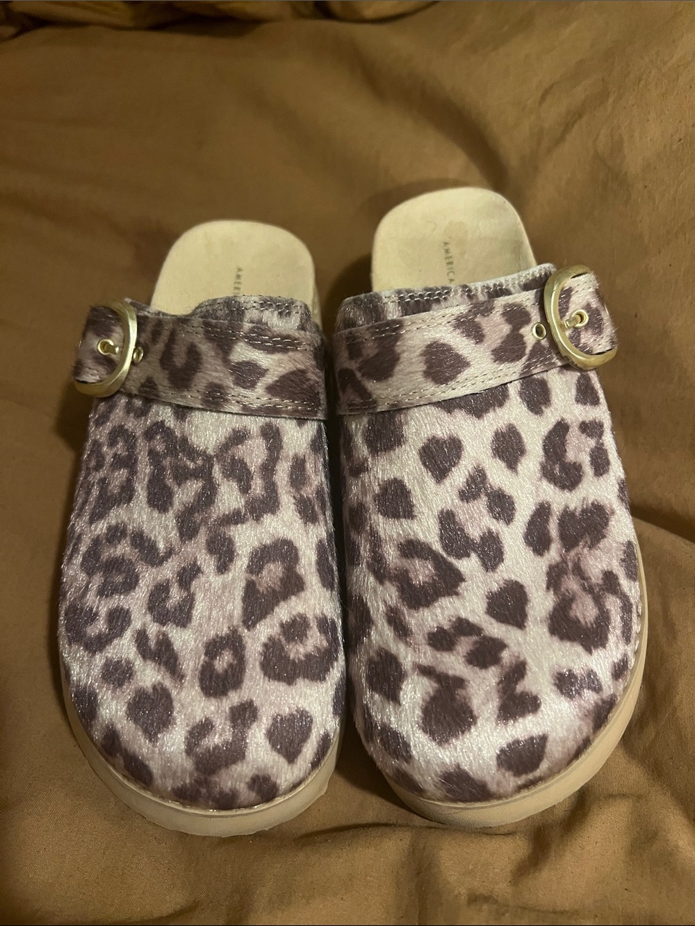 American Eagle Outfitters Leopard Print Buckle Clog Mule in Brown